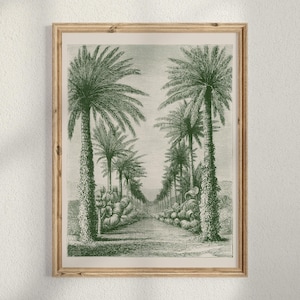 Vintage Reihe von Palmen Wand Kunst Druck, Salbei grün Tropisch Dekor, antike Botanische Garten Radierung, printable digitaler Download A366