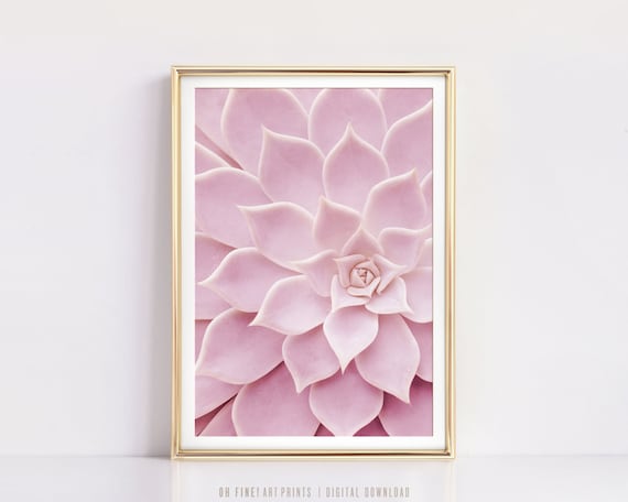 Pink Cactus Print, Botanical PRINTABLE Wall Art, Nature Photography Download, Bedroom Wall Decor, Cactus Decor, Digital Download