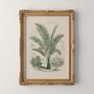 Sage Green Palm Tree Sketch, Minimalist Antique Etching Print, Vintage Tropical Decor, Botanical Illustration, Printable Wall Art A371