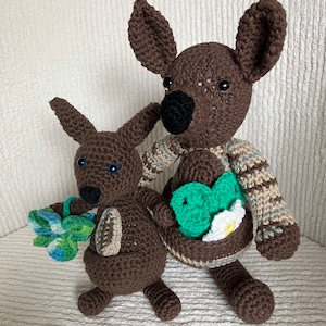 Kangaroo Mom and Joey