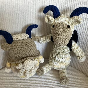 Aires the Ram is the 1st Sign of the Zodiac Under the Element of Fire