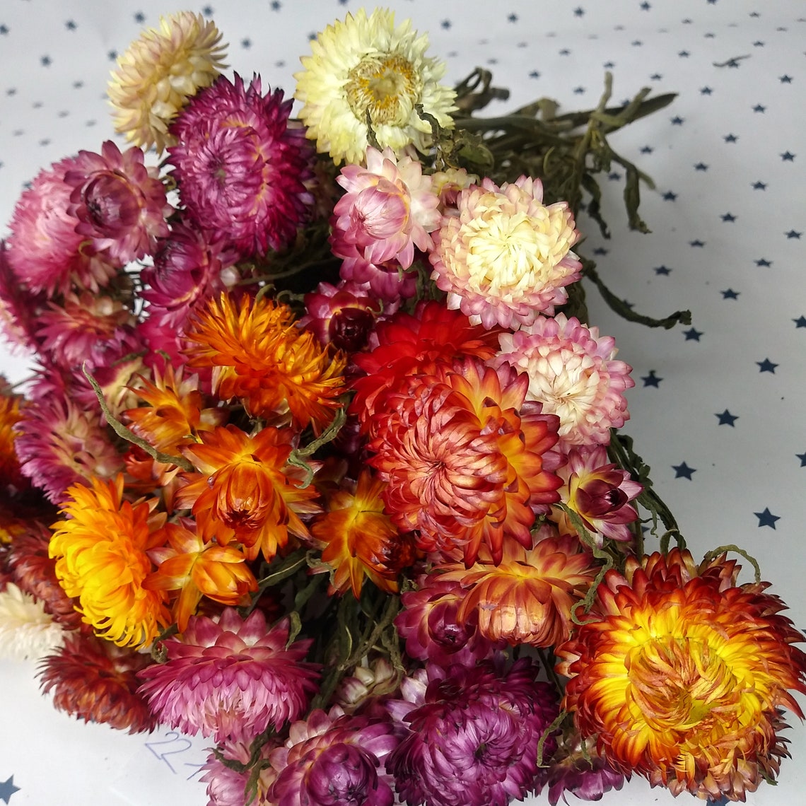 Dried Straw Flowers For Wedding Flower Supplies Weddings Etsy