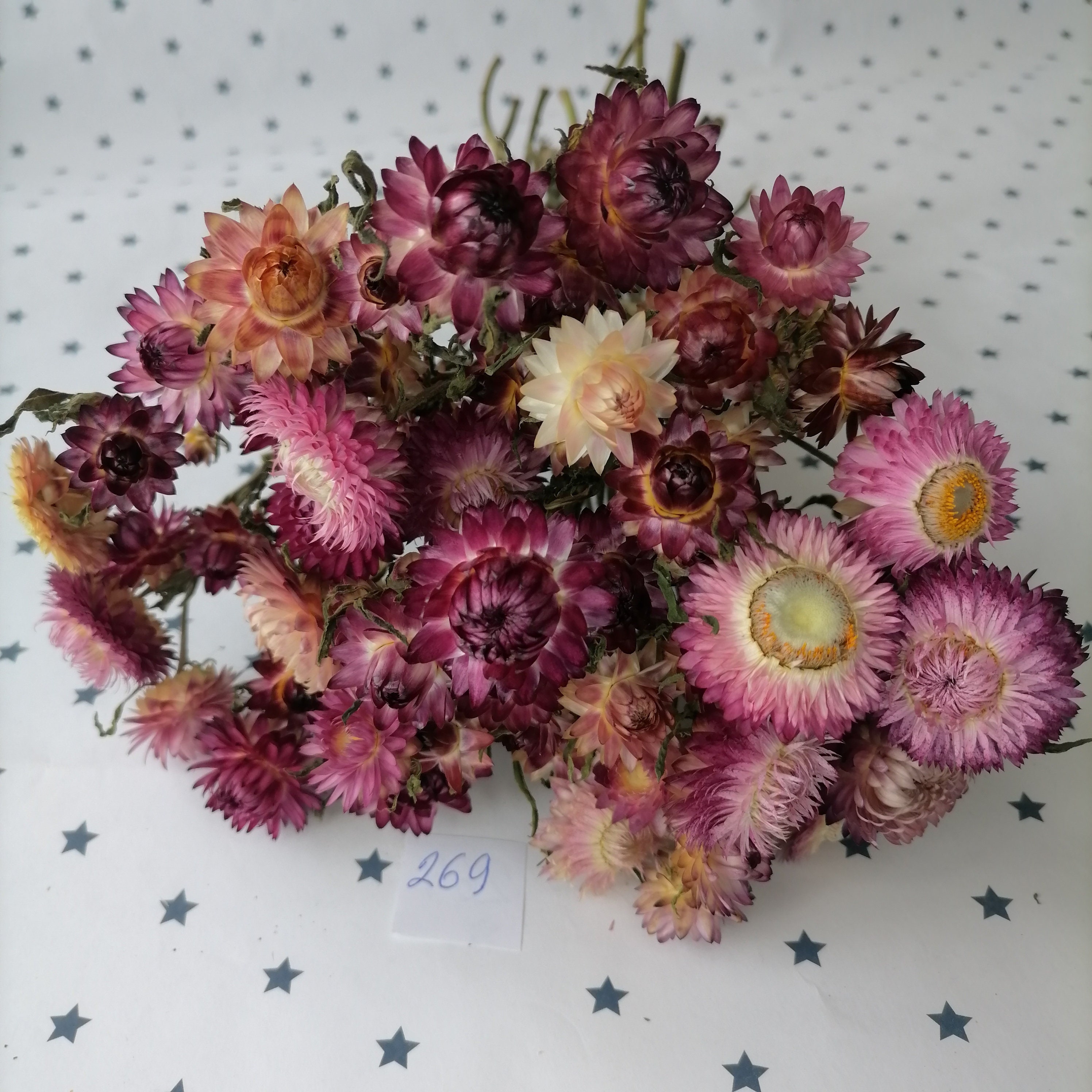 Strawflower Flowers Supplies Wedding Bouquet Weddings Etsy