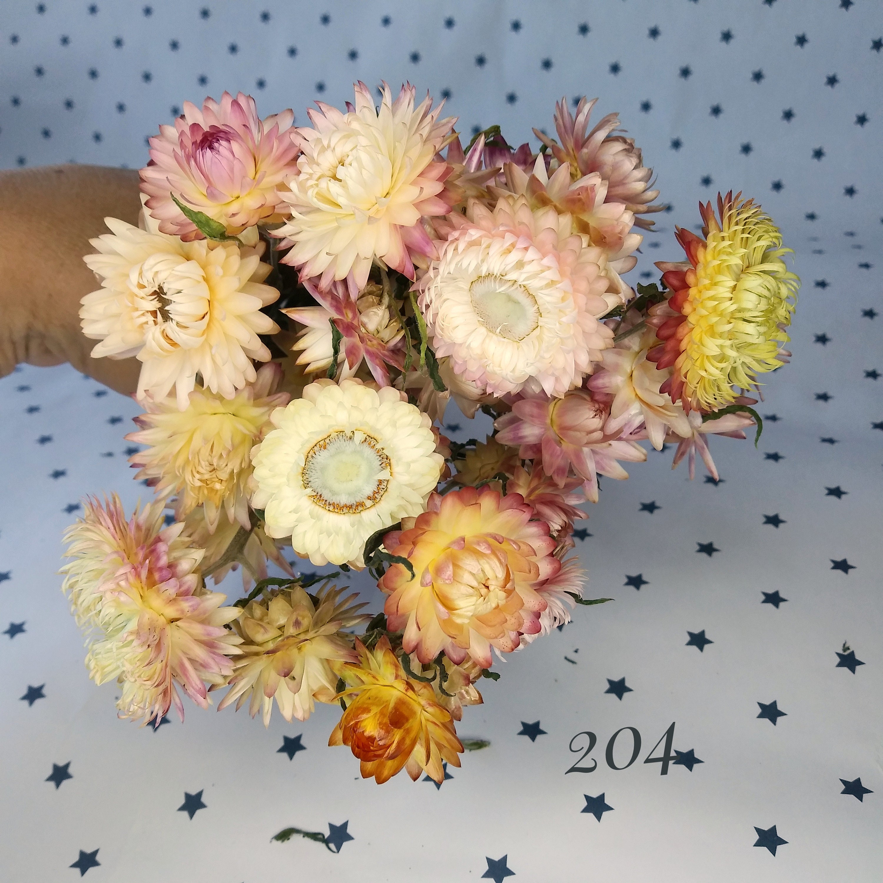 Dried Strawflowers Real Dry Strawflowers Dried Flower Bouquet Etsy