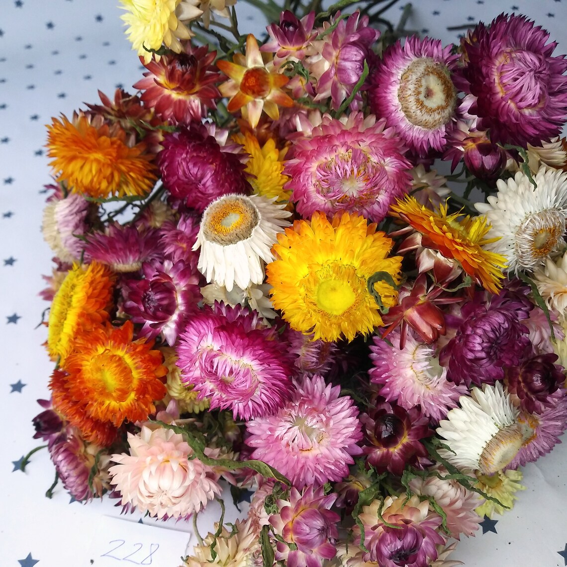 Dried Flowers Dried Straw flowers on stems strawflower dry Etsy