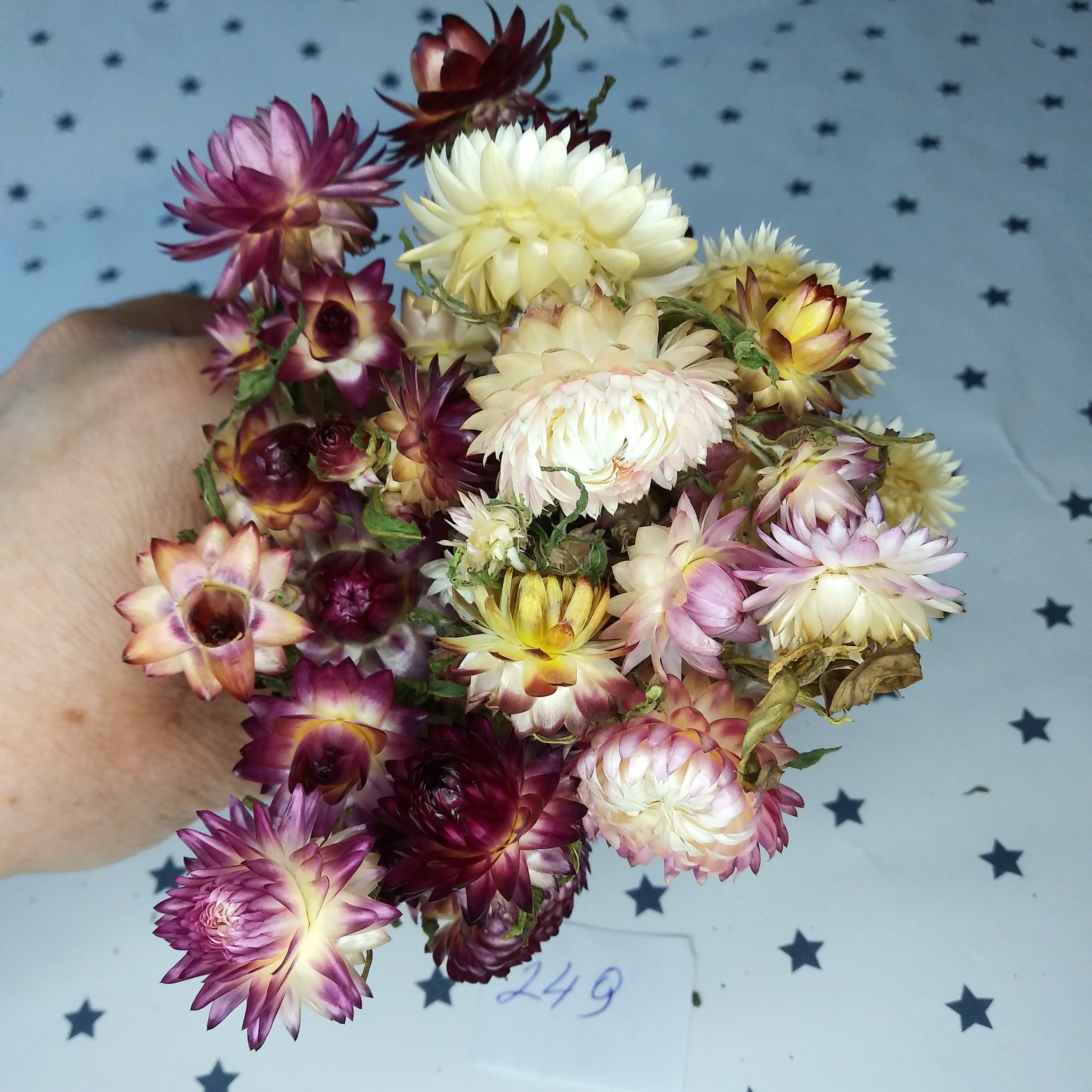 Dried Straw Flowers Real Dried Bouquet for Craft Flowers for Etsy