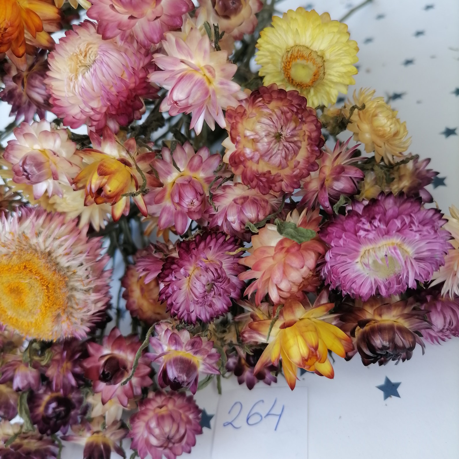 Real Dry Strawflowers Dried flower bouquet Floral Supply Etsy