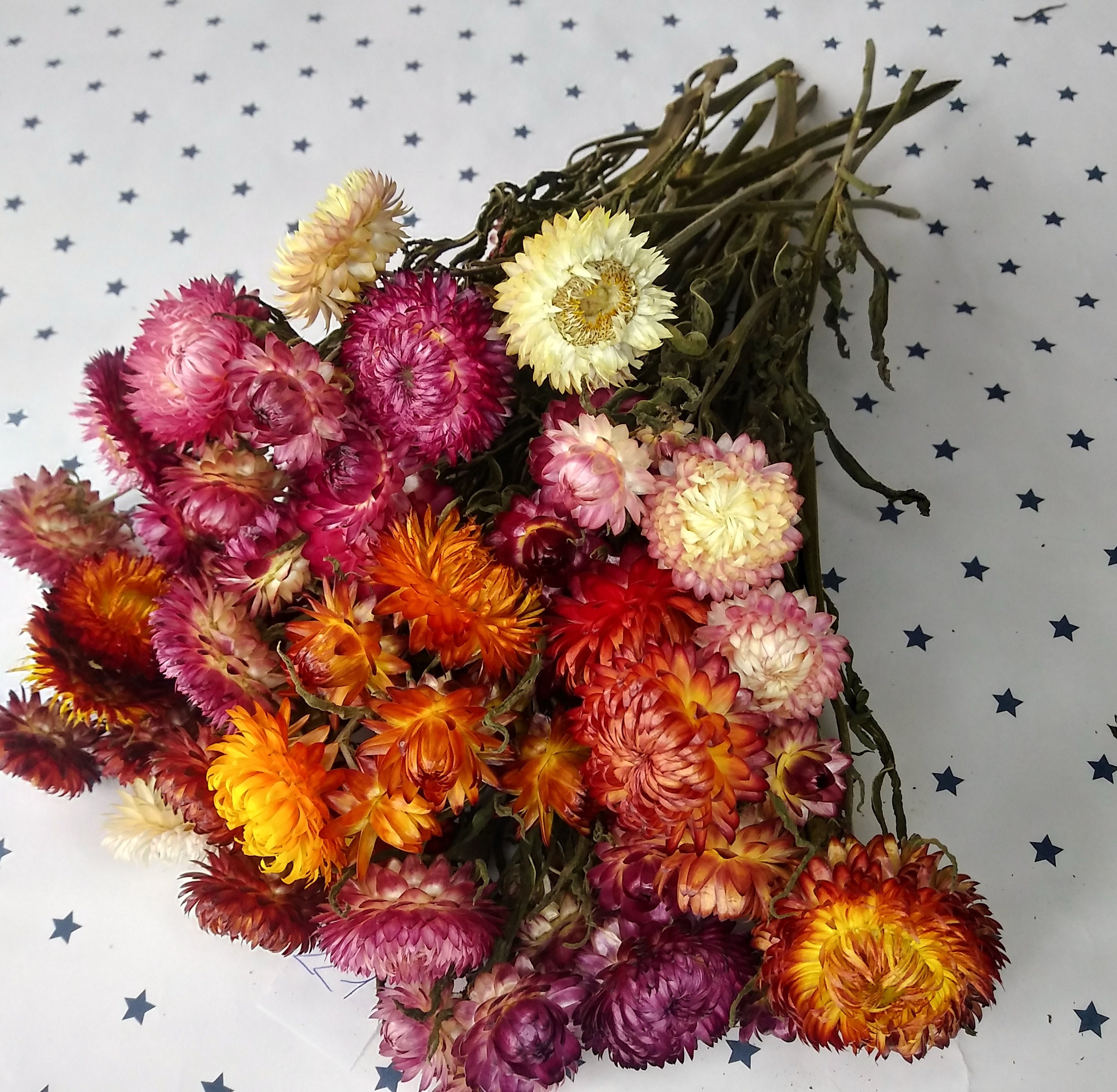 Dried Straw Flowers For Wedding Flower Supplies Weddings Etsy