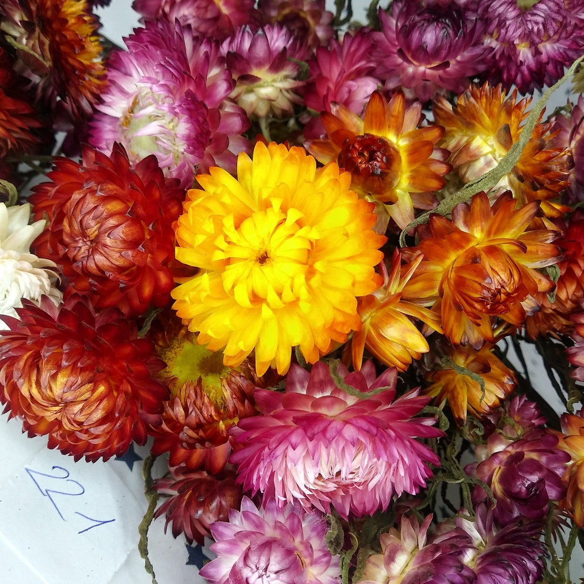 Dried Straw Flowers for Wedding Flower Supplies Weddings Etsy