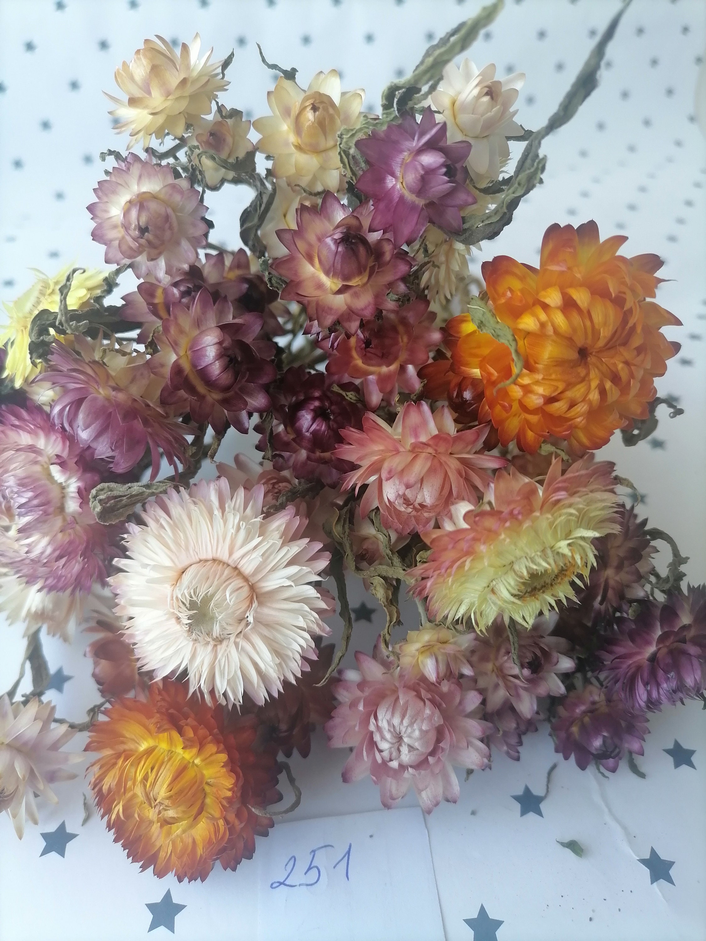 Dried Straw Flowers Real Dried Bouquet for Craft Flowers for Etsy