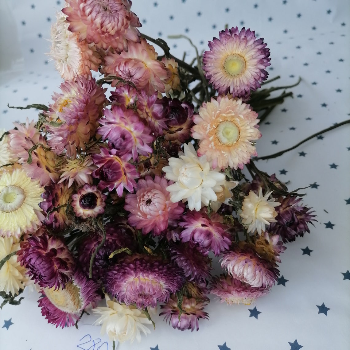 Dried Flowers Dried Straw flowers on stems strawflower dry Etsy