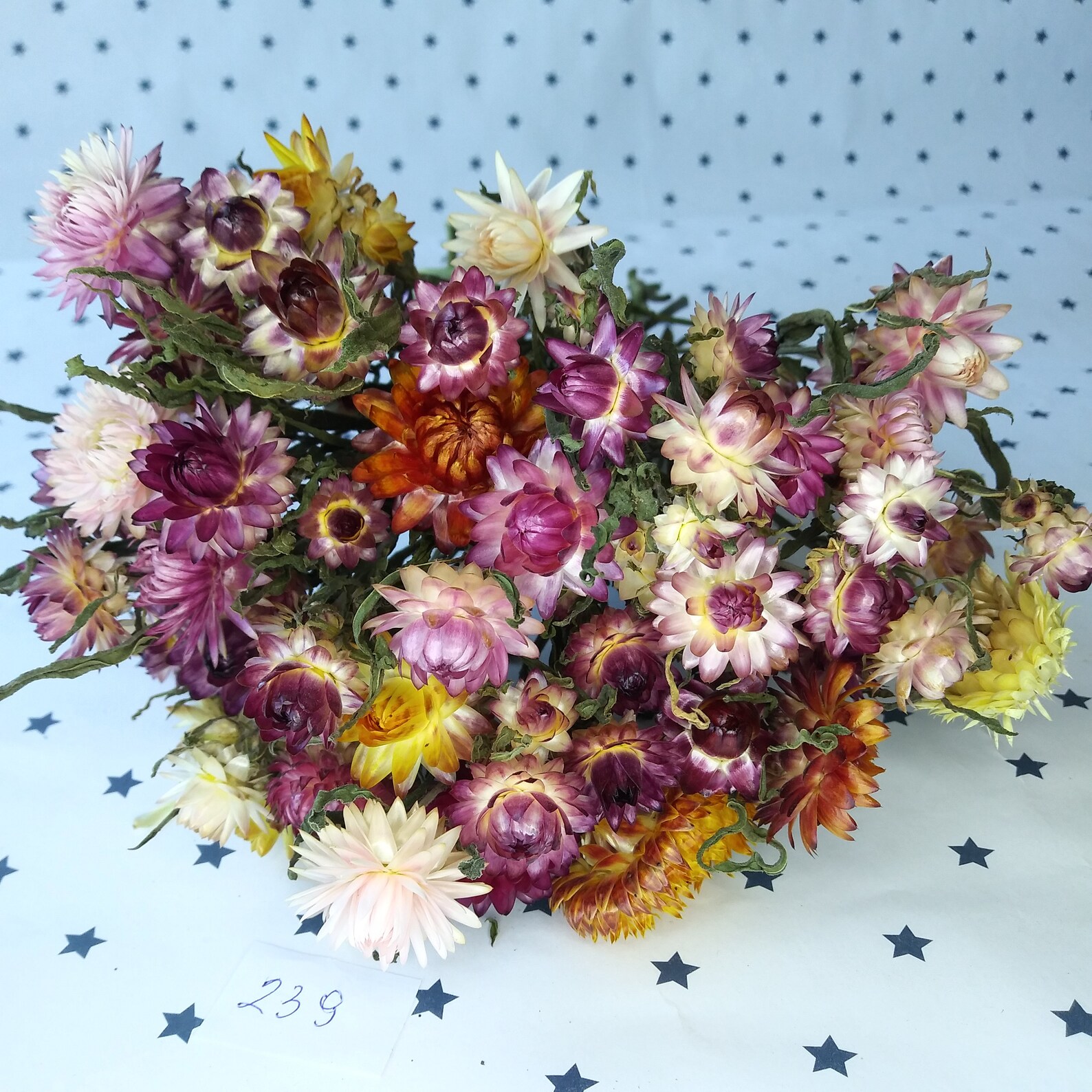 Dried flowers bright colors craft flowers dried flower Etsy