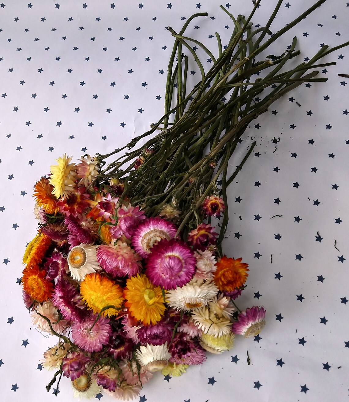 Dried Flowers Dried Straw flowers on stems strawflower dry Etsy