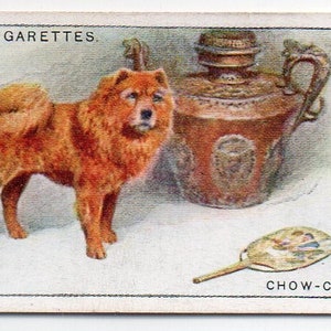 CHOW-CHOW 1925 Player Dogs #5 Cigarette Card
