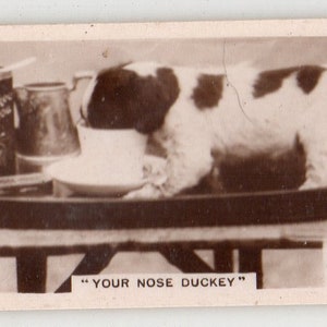 Your Nose Duckey 1932 Millhoff De Reszke 3rd Series #2 Sigarettenkaart