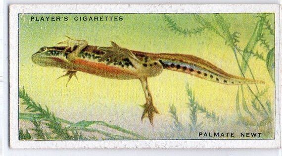 reynolds and reynolds tobacco policy RJ Reynolds and Philip Morris court-ordered tobacco admiss…