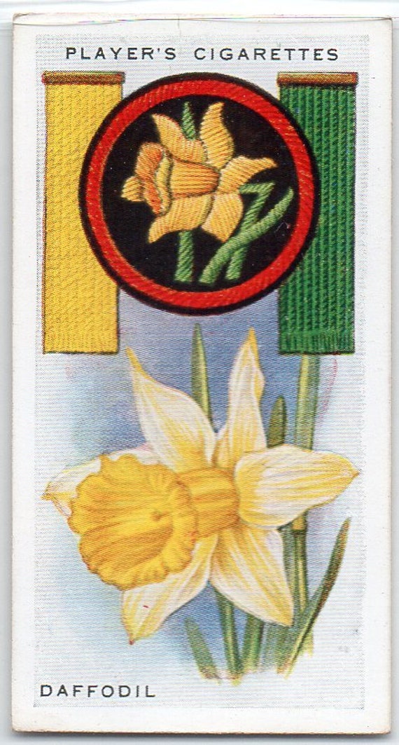 daffodil cigarettes DAFFODIL 1933 Player Boy Scout & Girl Guide #31 Cigarette Card
