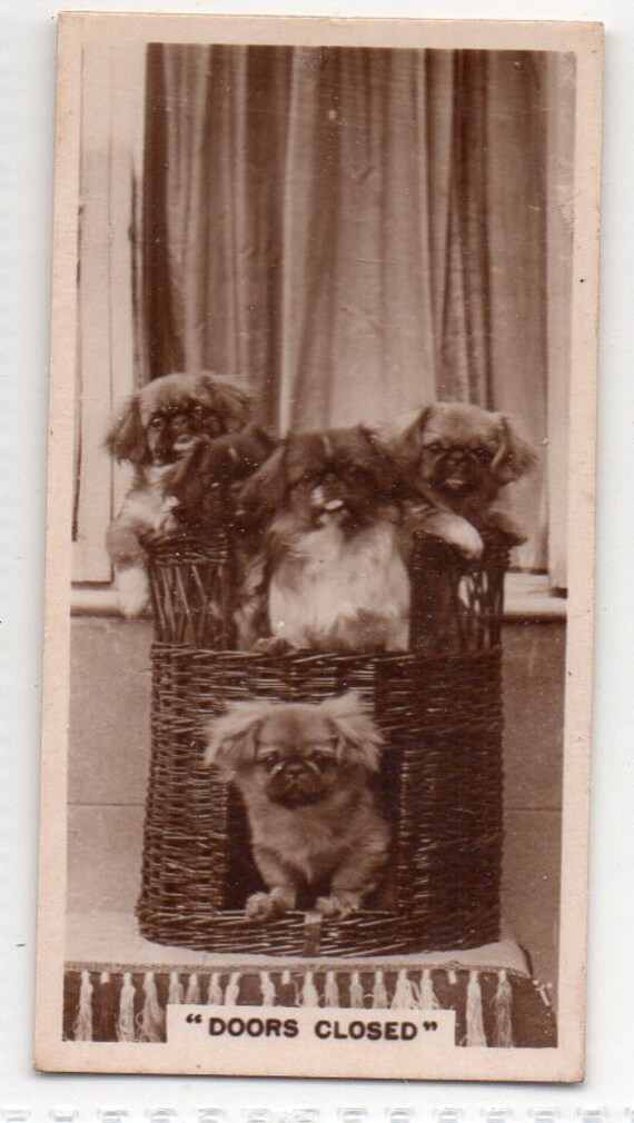 de reszke cigarette cards art treasures Doors Are Closed 1932 Millhoff De Reszke 3rd Series #18 Cigarette Card