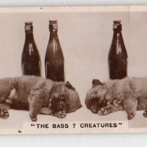 Puede incluir: Una postal vintage con una escena humorística de dos cachorros durmiendo con cuatro botellas de cerveza y una jarra en el fondo. La leyenda dice "The Bass? Creatures."