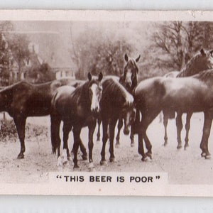 Puede incluir: Postal en tonos sepia que muestra varios caballos en un campo. Uno de ellos bebe de un abrevadero. El texto "THIS BEER IS POOR" está impreso en la parte inferior. La escena se desarrolla al aire libre, con una valla y árboles al fondo.