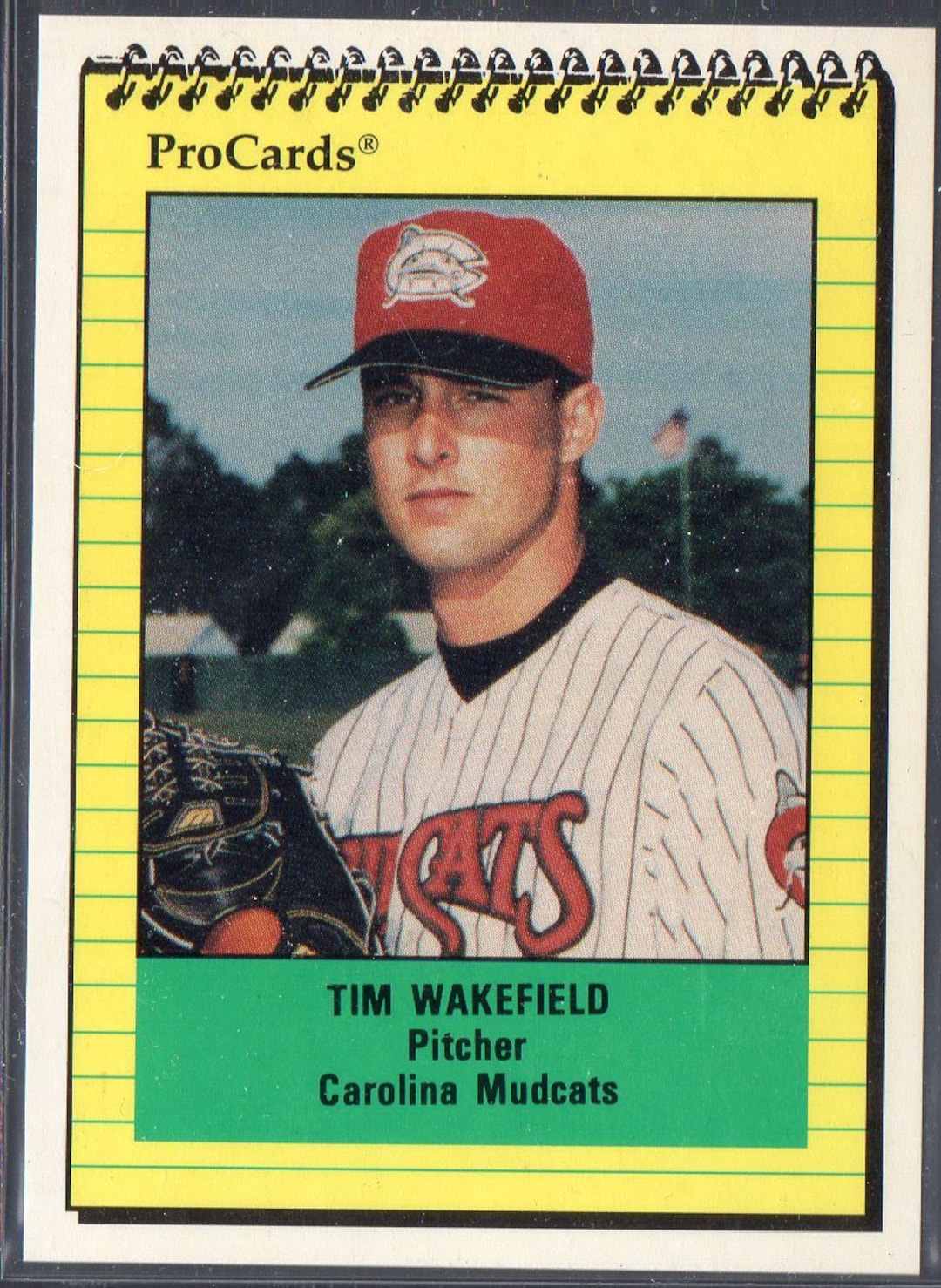 TIM WAKEFIELD 1991 Procards Carolina Mudcats 1087 Baseball 