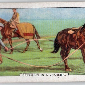 Breaking in a Yearling 1938 Gallaher Racing Scenes #10 Cigarette Card