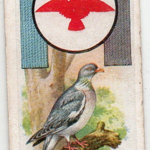 WOOD-PIGEON 1933 Player Boy Scout & Girl Guide #25 Cartão de cigarro