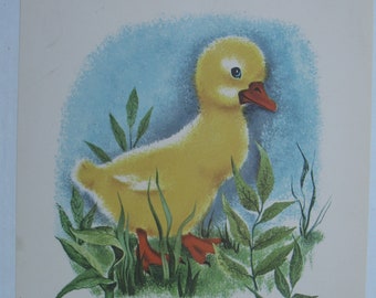 DUCKLING Vintage 1959 Rutherfords Animals Litho Print Picture 10x12