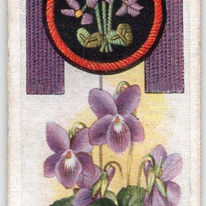 VIOLET 1933 Giocatore Boy Scout & Girl Guide #49 Cigarette Card