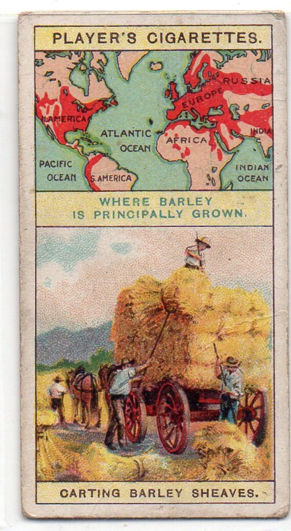 Carting Barley Sheaves 1908 Phillips Products of the World #17 Cigarette  Card