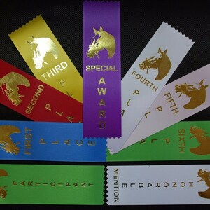 First Place Blue and Gold AWARD Ribbon-felt Award Ribbons-trophy  Ribbons-quiet Books-winners Felt Ribbon-prize Ribbon-felt Blue Ribbons 