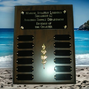 Custom 9x12 Perpetual Award Plaque 12 Plate, Trophy 2 Finishes, Your Wording!
