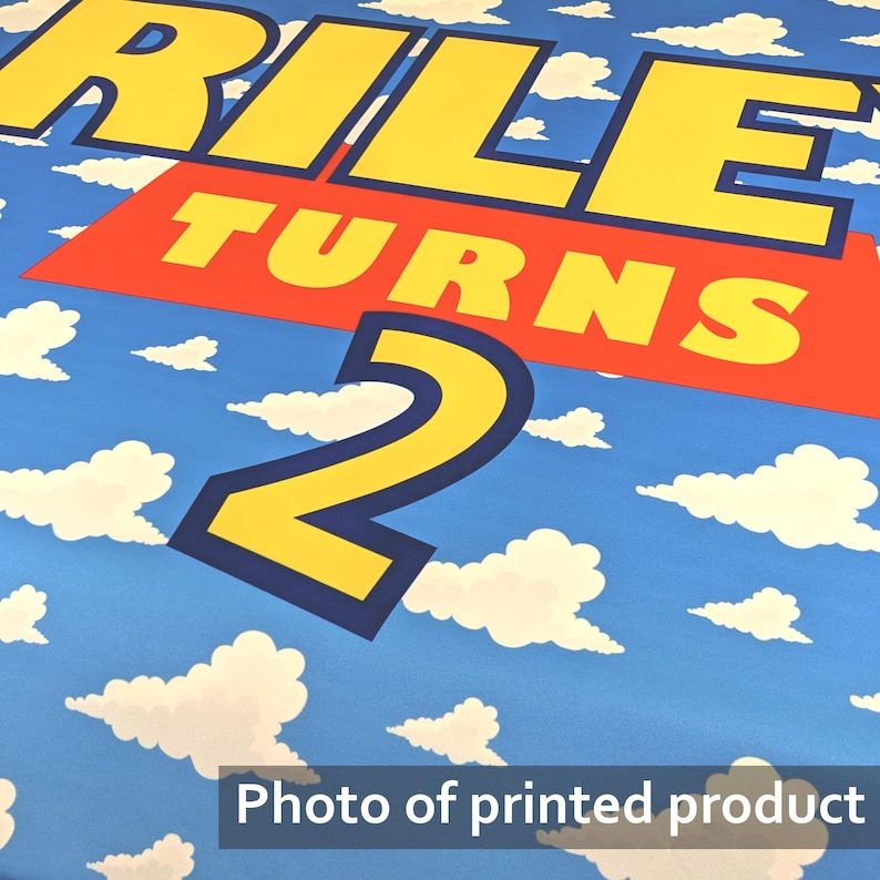 May include: A blue and yellow banner with white clouds printed on it. The banner says "Riley Turns 2" in a bold, cartoon font.