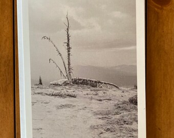 Brundage Lookout Greeting Card