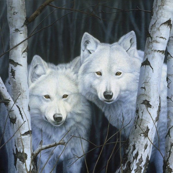 1365 White Wolves Panel by David Textiles; wolves at night in birch forest; cotton quilting fabric, wall hanging, winter forest animals