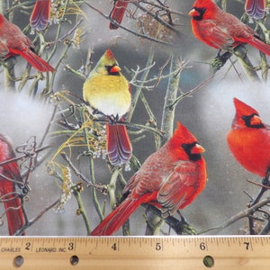 1496 Winter Cardinals on Bare Branches, taupe background cardinal pairs allover cotton fabric by the yard David Textiles, small fabric cuts image 5