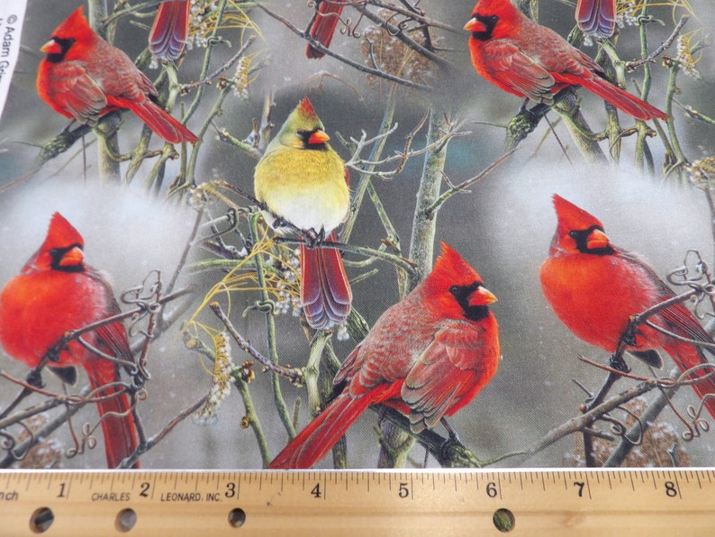 1496 Winter Cardinals on Bare Branches, taupe background cardinal pairs allover cotton fabric by the yard David Textiles, small fabric cuts imagem 5