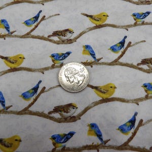 May include: Fabric with a repeating pattern of colorful birds perched on brown branches against a white background. The birds are yellow, blue, and brown. A U.S. quarter coin is included for scale.
