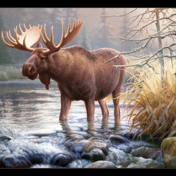 1272 Bull Moose cotton fabric panel; Elizabeth Studios quilting fabric; 43.5" W x 23.5" L, wilderness nature scene of large moose