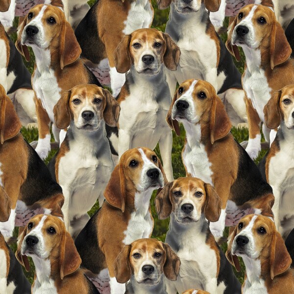 1667 Beagle Forest packed cotton fabric by the yard. David Textiles digitally printed dog lover fabric covered with beagles.