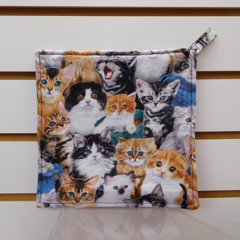 665 Cute Kittens Plastic Bag Holder Cats Bag Holder Cat Etsy