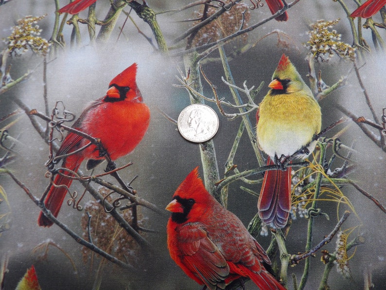 1496 Winter Cardinals on Bare Branches, taupe background cardinal pairs allover cotton fabric by the yard David Textiles, small fabric cuts image 6