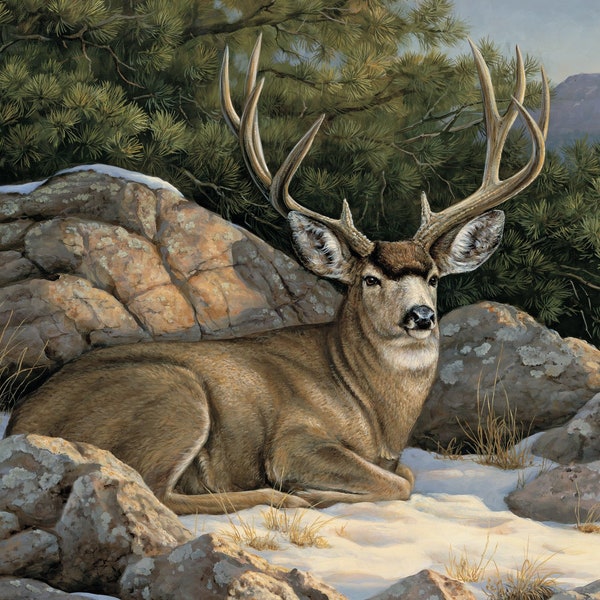 1594 Rocky outcrop with resting buck, Cotton fabric panel, 44"W x 35.5"L, David Textiles, digitally printed, deer lover quilt, wall hanging