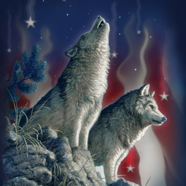 1603 Song of the Night Wolf Panel. Cotton fabric panel for wolf quilt, wall hanging, lap quilt. David Textiles  36"W x 44"L.