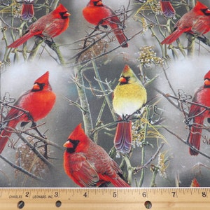1496 Winter Cardinals on Bare Branches, taupe background cardinal pairs allover cotton fabric by the yard David Textiles, small fabric cuts image 4