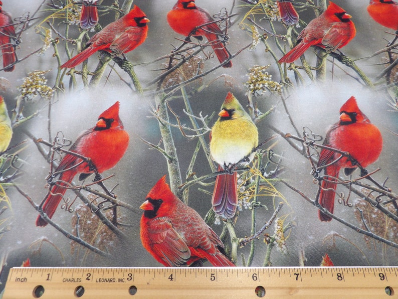 1496 Winter Cardinals on Bare Branches, taupe background cardinal pairs allover cotton fabric by the yard David Textiles, small fabric cuts image 4