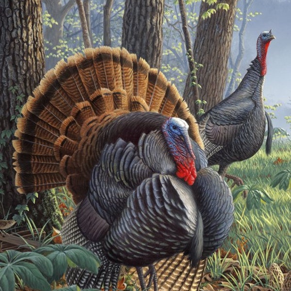 918 Wild Turkey Panel, 34" W x 42-3/4" L. Turkey fabric for Thanksgiving, autumn, fall turkey quilt, wall hanging, lap quilt, floor pillow