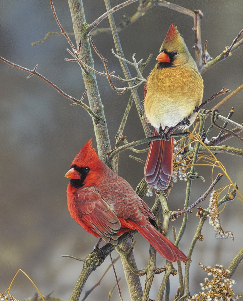 1496 Winter Cardinals on Bare Branches, taupe background cardinal pairs allover cotton fabric by the yard David Textiles, small fabric cuts image 7