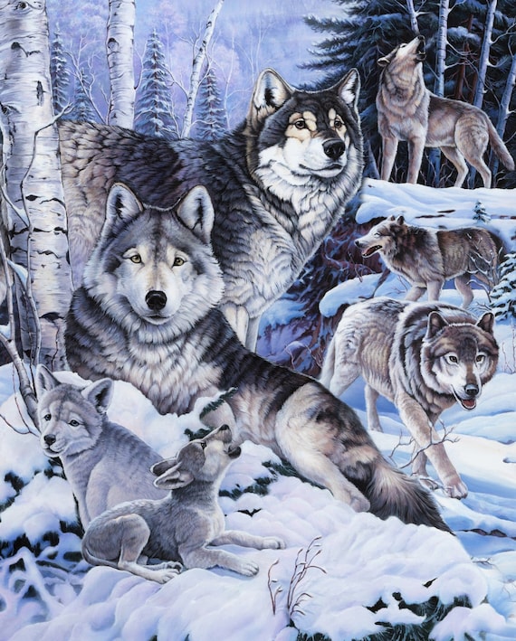 1219 Wolf Fabric by the Yard From David Textiles Fat Quarters
