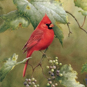 922 Red Cardinals in the Orchard Panel; Cardinal Lovers Quilting Fabric; Digitally Printed David Textiles; Scenic Cardinal Cotton Fabric